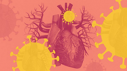 Динамические биомаркеры в условиях COVID-19: Особое внимание к сердечно-сосудистой системе
